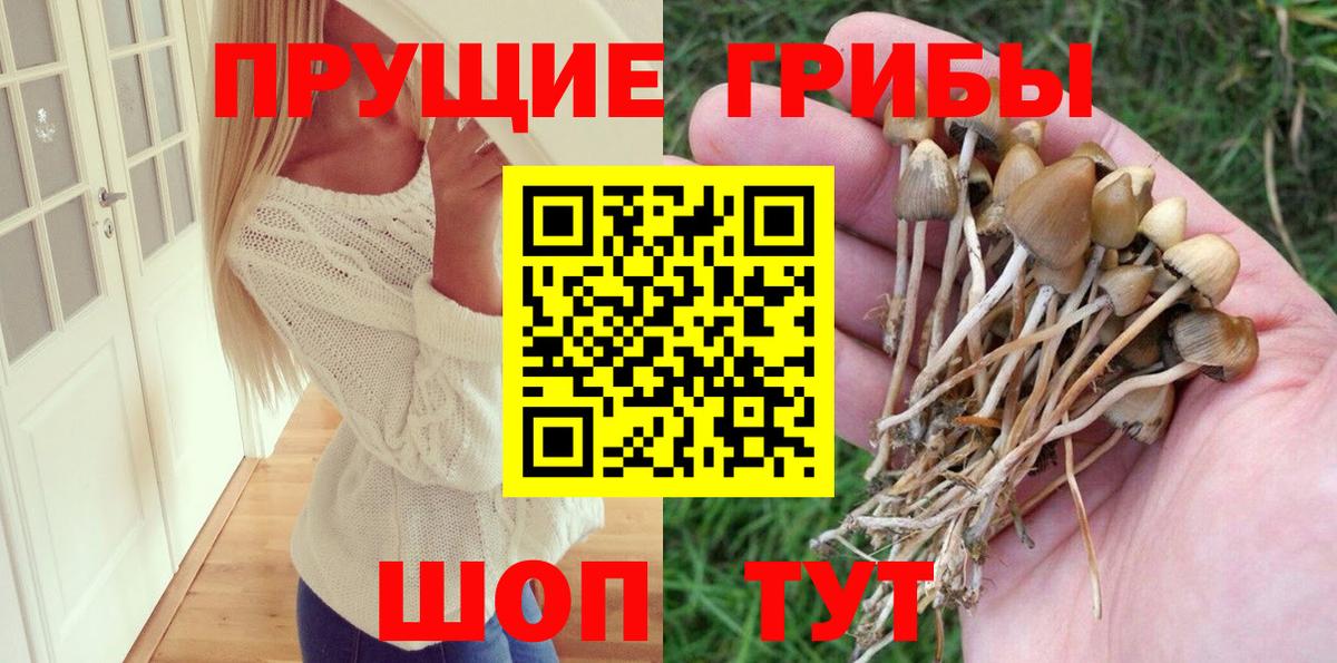 Галлюциногенные грибы прущие грибы  Вход с VPN  Сланцы 