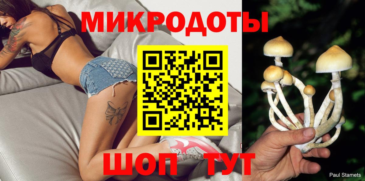 Галлюциногенные грибы Psilocybe Сланцы